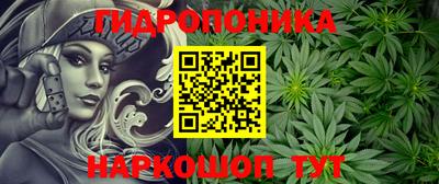 сатива Коммунар