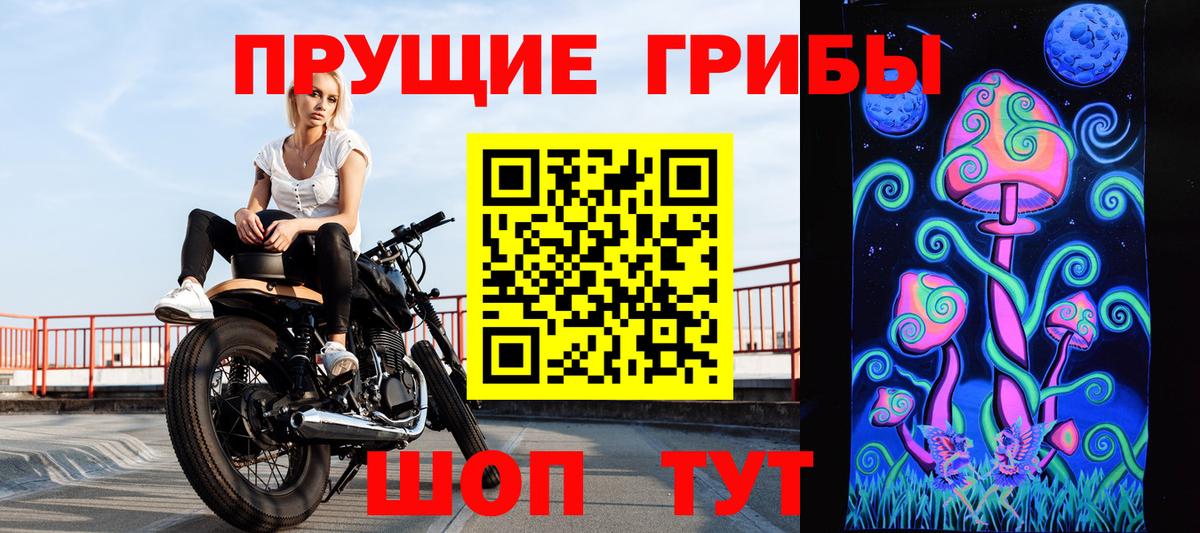 Псилоцибиновые грибы Psilocybine cubensis Кимры